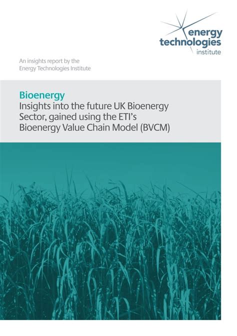 Bioenergy Insights Into The Future Uk Bioenergy Sector Gained Using The