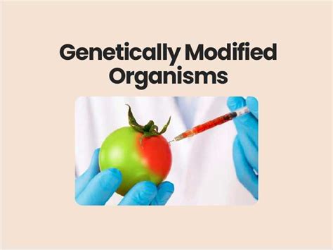 Genetically Modified Organisms And Gm Crops In India Civils360 Ias