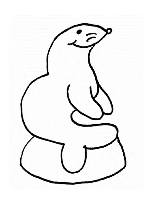 Free Animals Monk Seal Printable Coloring Pages For Preschool