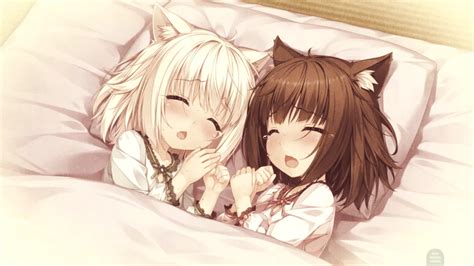 Cute Kittens Sleeping『nekopara Vol1』 Rcuteanimegirls
