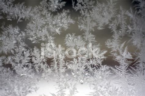 Chrystalized Snow Stock Photo Royalty Free Freeimages