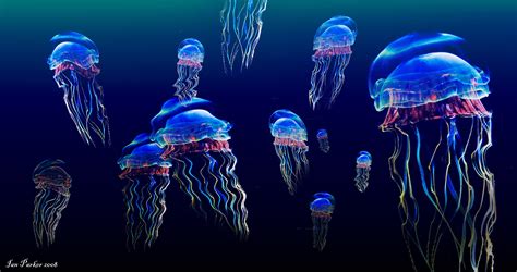 Jellyfish Underwater Ocean Sea Bokeh Jelly 28 Wallpaper 5000x2641