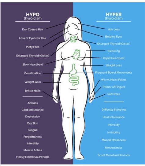 Thyroid Imbalance Hypothyroidism Hashimotos Graves Hyperthyroidism