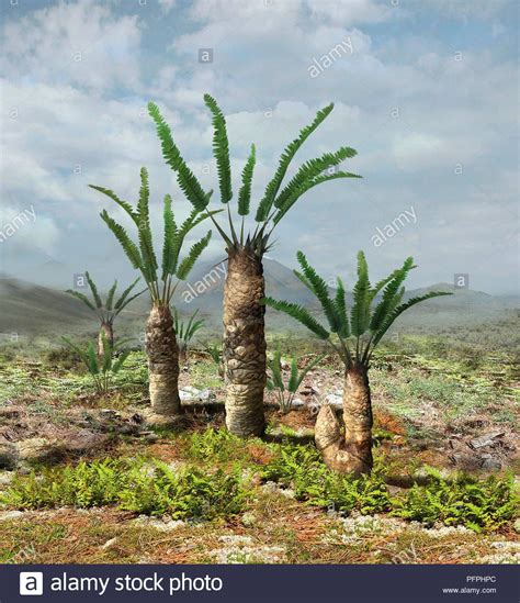 Late Jurassic Ferns As Groundcover Prehistoric World Prehistoric