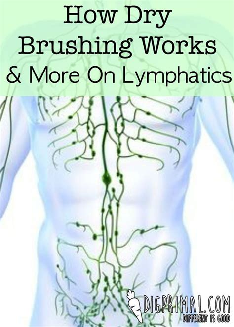 How Dry Brushing Works And More On Lymphatics Health Heal Dry Brushing