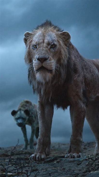 Lion Scar King Leon Rey Simba 4k