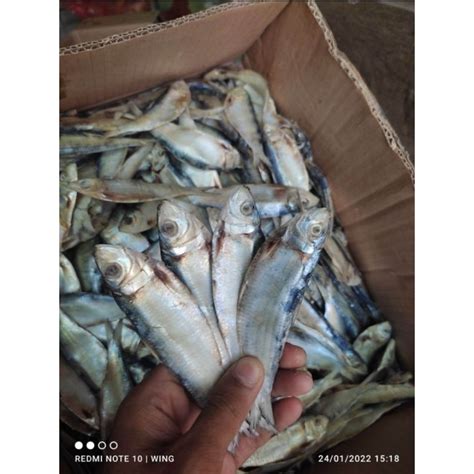 Jual Ikan Asin Tembang Sisik Kaca 500g Shopee Indonesia