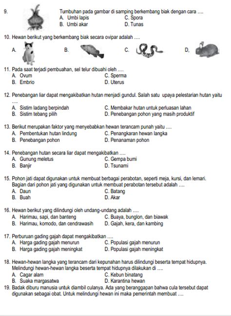 Soal Uas Bahasa Indonesia Kelas 6 Sd Dan Kunci Jawaban Dunia Belajar
