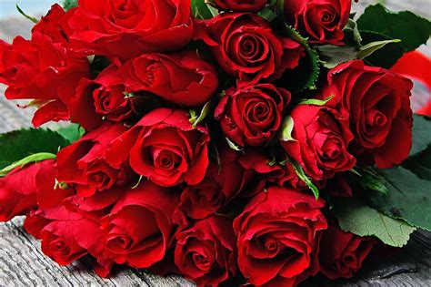 Free Download Red Rose Red Rose Bouquet Valentines Valentines