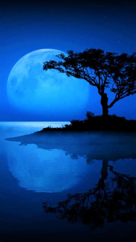 🔥 Download Blue Moon Ideas Beautiful Shoot The By Jeanettet52 Blue