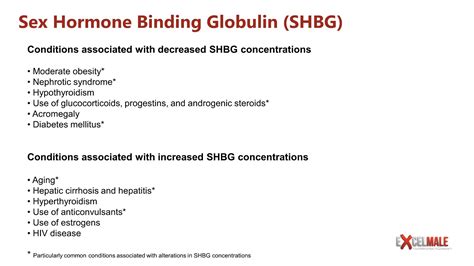 Shbg And Free Testosterone Everything You Need To Know 2022