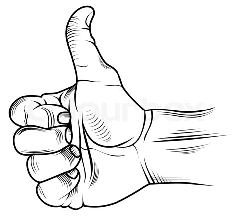 Thumb Up Hand Stock Vector Colourbox