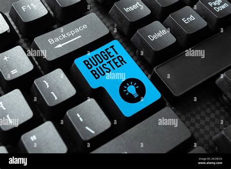 Handwriting text Budget Buster, Word Written on Carefree Spending