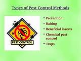 Home Pest Control Methods Photos