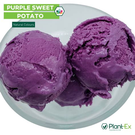 Purple Sweet Potato Coloured Ice Cream Plant Ex