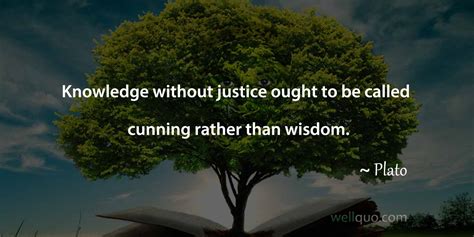 Wisdom Quotes To Make You Wiser Well Quo