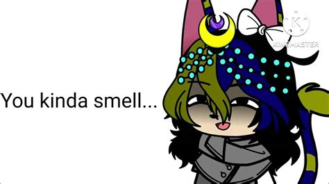 You Kinda Smell Like A Baka Sphynx Aizawa Youtube