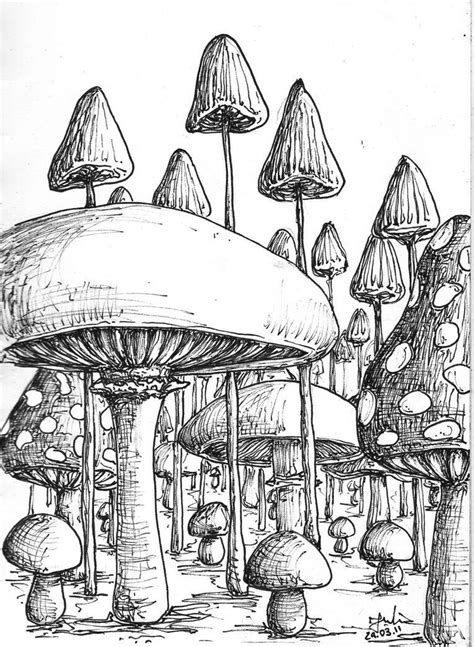 This Is Incredible Drawings Mushroom Drawing Art