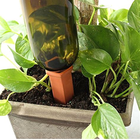 While water containing ferric iron replenishes soil iron levels as well. Plant-A-Bottle (Set of 4 Indoor Plant Watering Devices ...