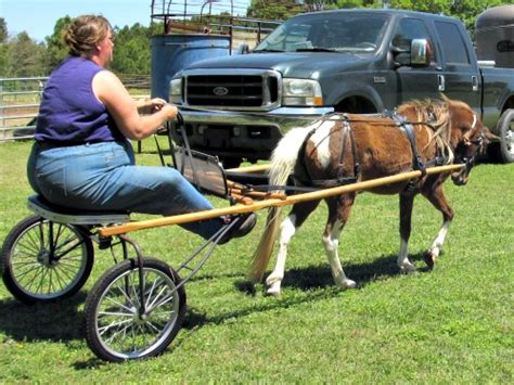 Opinions About Kingston Saddlery Easy Entry Carts Driving Miniature
