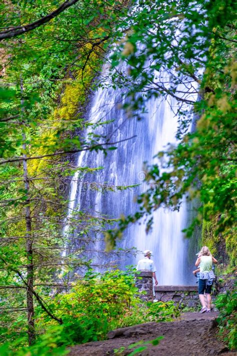 Multnomah Falls Waterfall In Summer Columbia River Gorge Oregon