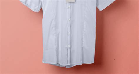 Long Sleeve Collar Shirt Mockup