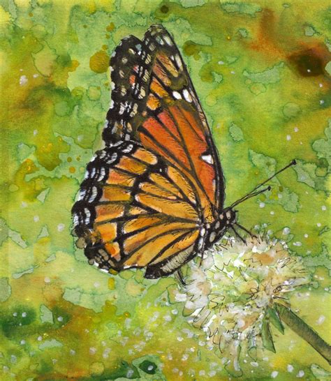 Monarch Butterfly On Dandelion Original Watercolor Painting Etsy
