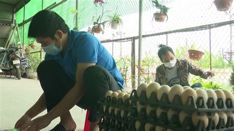 08 048161 / 08 048162; 5 loại nông sản tỉnh Hải Dương lên sàn giao dịch điện tử ...