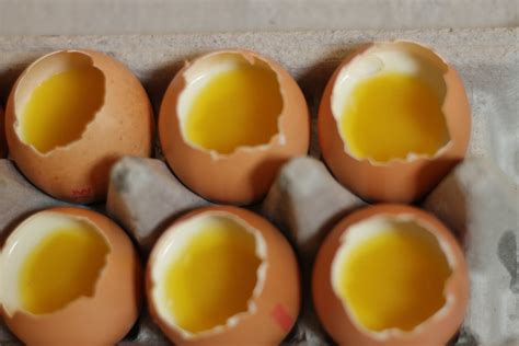 We have chickens and an excess of fresh eggs. Simple Delights: Coconut Panna Cotta Mango & Orange Egg