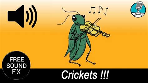 Crickets Awkward Silence Gaming Sound Effect Sound Masters 🎶 Youtube
