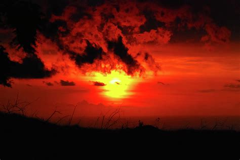 Flaming Sunset Photograph By Christi Kraft Fine Art America