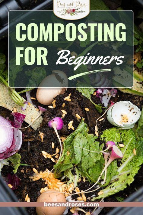 Composting Tips For Beginners You Need To Get Started Artofit