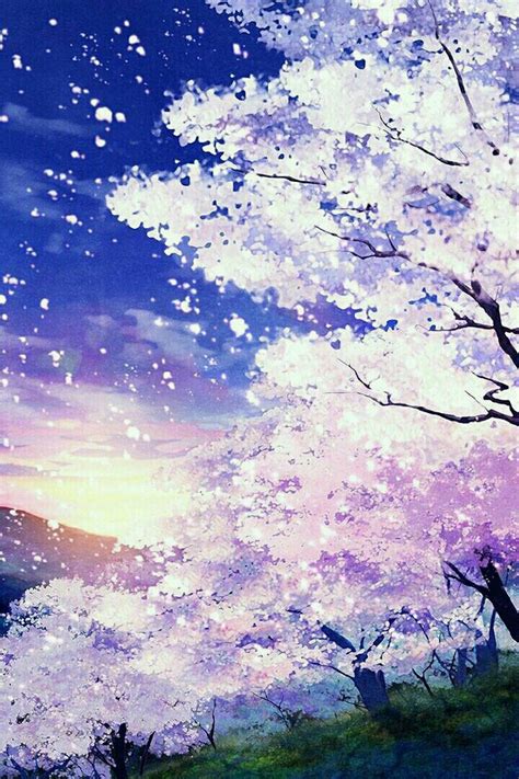 Sakura Anime Wallpaper Anime Cherry Blossom Wallpaper Iphone 444555