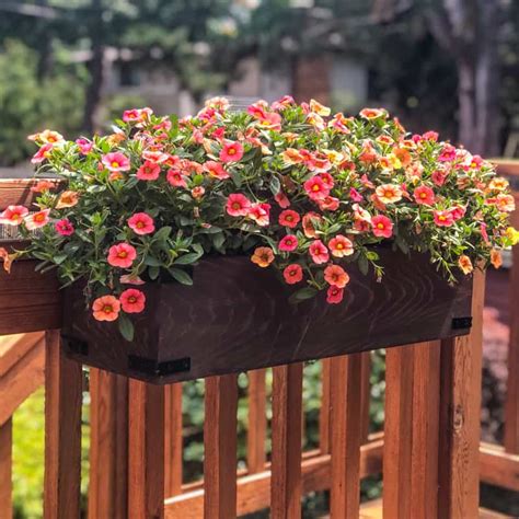Aug 10, 2021 · buy railing planters online at best prices in india. DIY Railing Planters for your Deck or Balcony - The ...