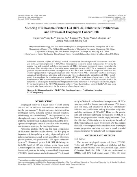 Pdf Silencing Of Ribosomal Protein L34 Rpl34 Inhibits The