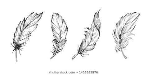 Set Of Bird Feathers Hand Drawn Illustration Converted To Vector