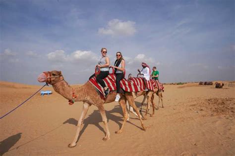 Dubai Adventure Dune Buggy Safari Camel Ride And Bbq Dinner Getyourguide