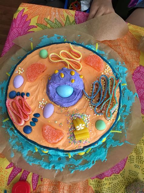 Pin By Moreen Dyogi On Diy Projects With Images Edible Cell Project