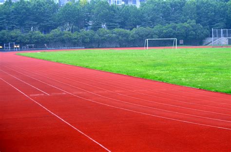 Sports Field Free Stock Photo - Public Domain Pictures