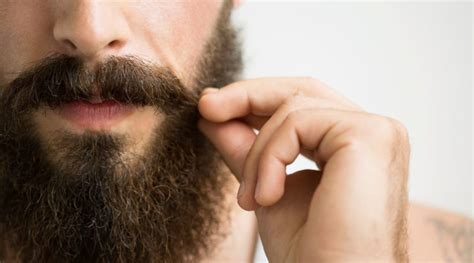 Maintaining A Majestic Beard The Essential Essentials Guide Part 2