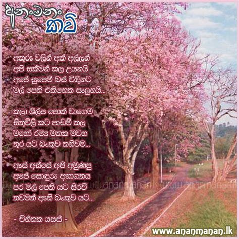 Sinhala Poem Akuru Walin Ath Allan By Chinthaka Yasas Sinhala Kavi