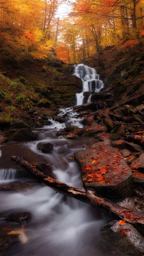 2160x3840 Autumn Forest Water Current Waterfall Nature Wallpaper