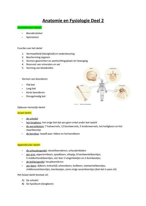 Anatomie En Fysiologie Deel 2 Beenderstelsel Anatomie En Fysiologie