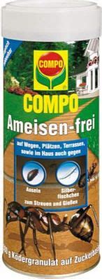 Ameisen sind grundsätzlich kein ungeziefer. Ameisen im Haus und Garten natürlich mit Hausmitteln ...