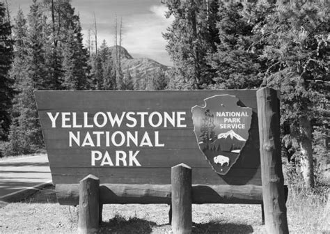 Explore The Wonders Of Yellowstone Guided Trip In The Usas Iconic
