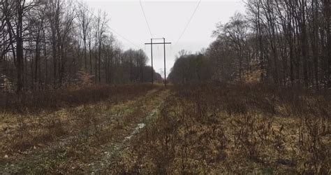 Bigfoot Spotted Crossing The Powerlines In Ohio