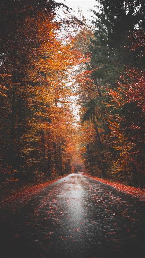 Autumn Road Wallpaper Iphone Android Iphone Wallpaper Photography