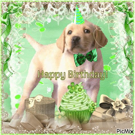 Birthday Labrador Happy Birthday Pictures Photos And Images For