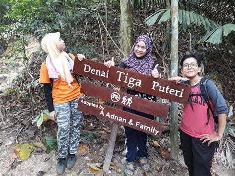 Hike to denai tiga puteri, kdcf. Hiking @ Denai Tiga Puteri, Kota Damansara - D'Alia Gallery