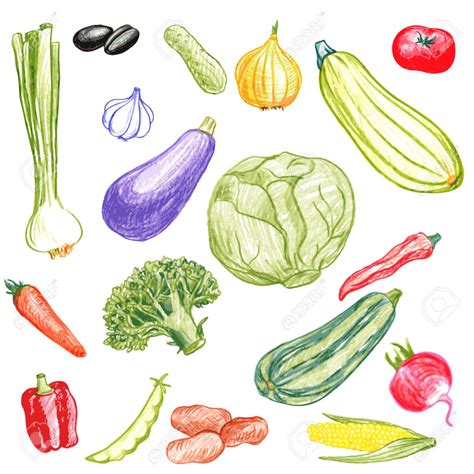 Vegetables Drawing At Getdrawings Free Download